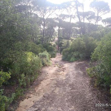 Casa Rural Los Pinos Hinojos Eksteriør billede