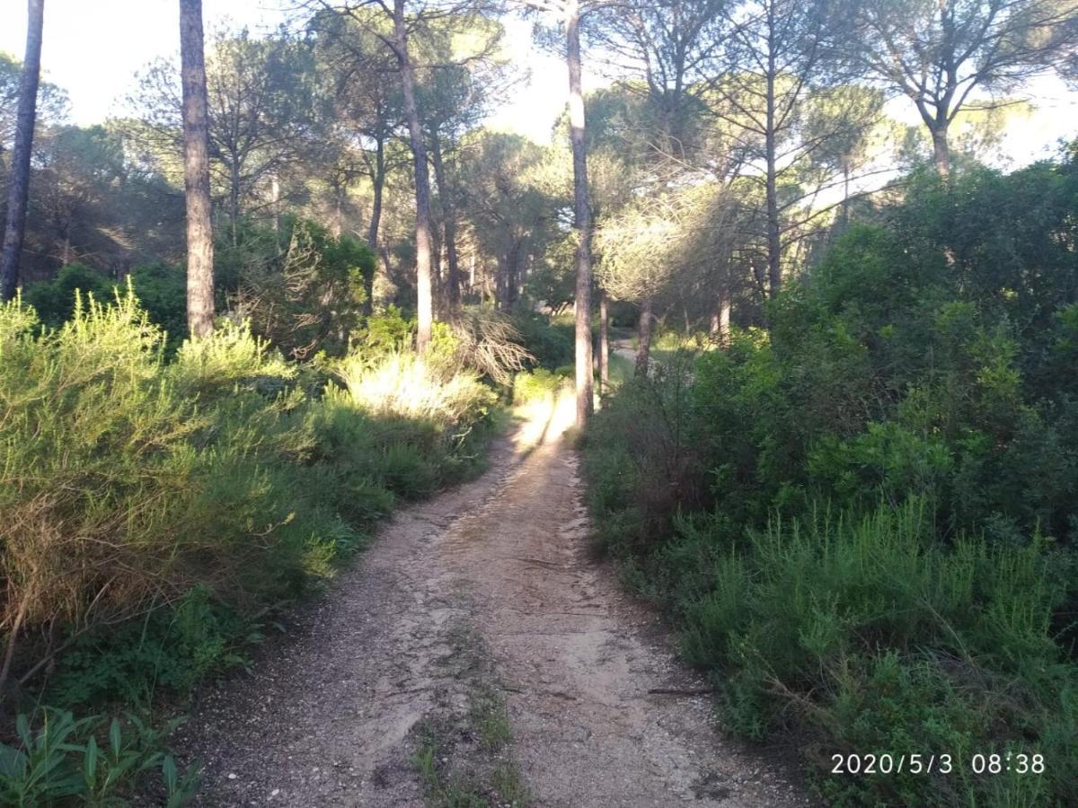 Casa Rural Los Pinos Hinojos Eksteriør billede