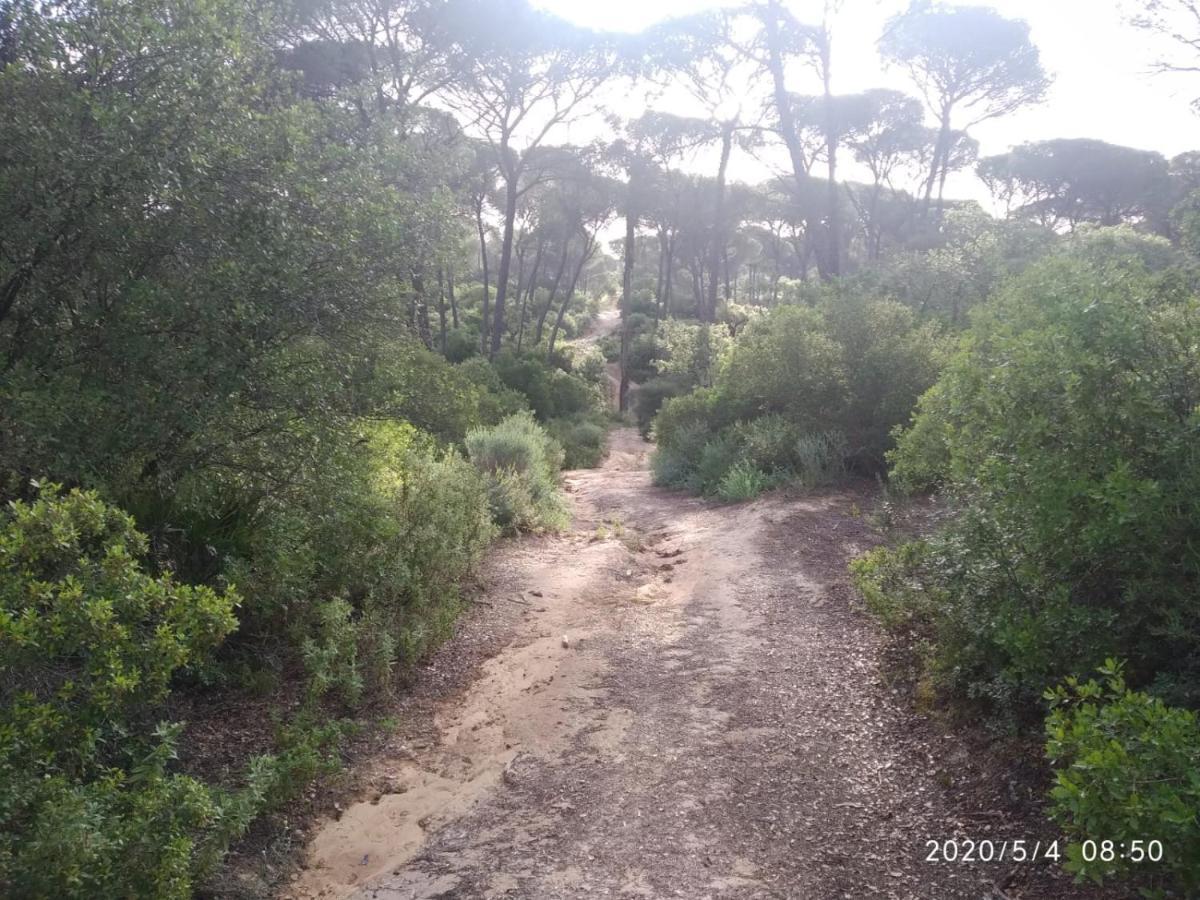 Casa Rural Los Pinos Hinojos Eksteriør billede